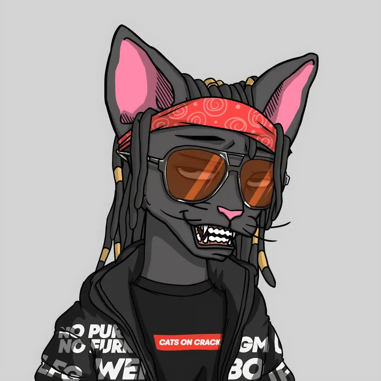 CETS NFT — grey cat with red bandana, dreadlocks and brown sunglasses